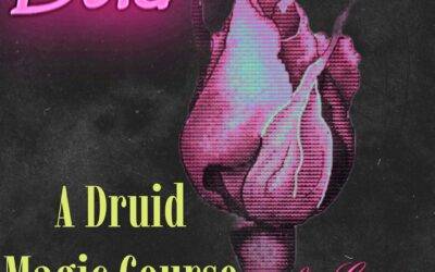 BUD : A Druid Magic Course